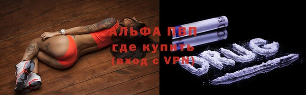 ешки Арсеньев