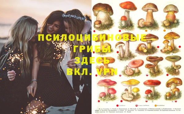 МДМА Аркадак