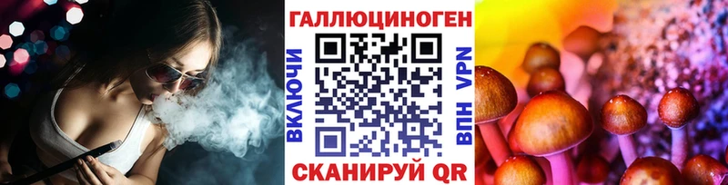 Купить закладки  Оха  Псилоцибиновые грибы GOLDEN TEACHER 